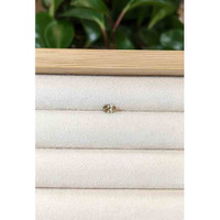 0.43 Ct. Bi Color Sapphire from Montana Life Style