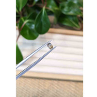 0.43 Ct. Bi Color Sapphire from Montana Life Style