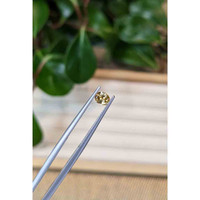 0.43 Ct. Yellow Sapphire from Montana Life Style