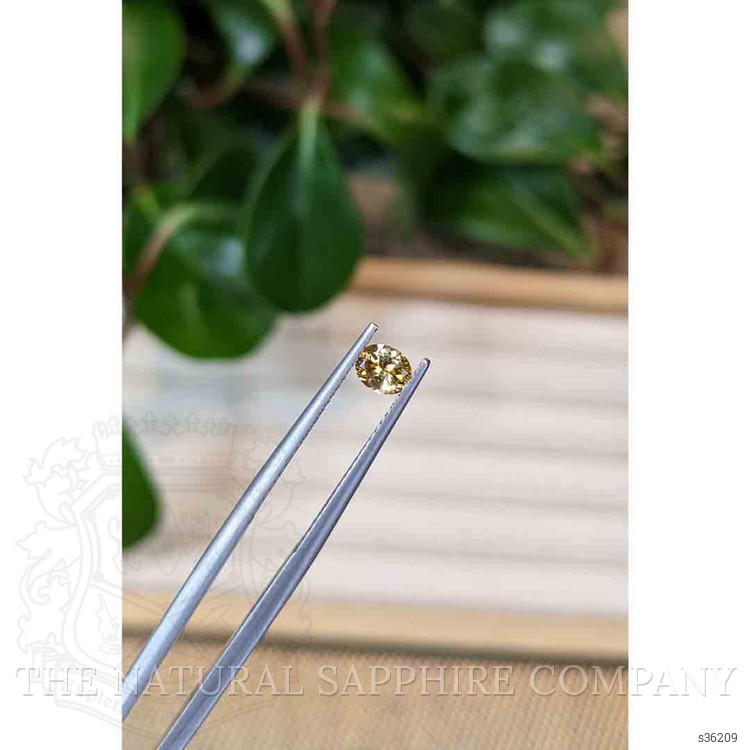 0.43 Ct. Yellow Sapphire from Montana