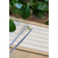 0.44 Ct. Greenish Yellow Sapphire from Montana Life Style