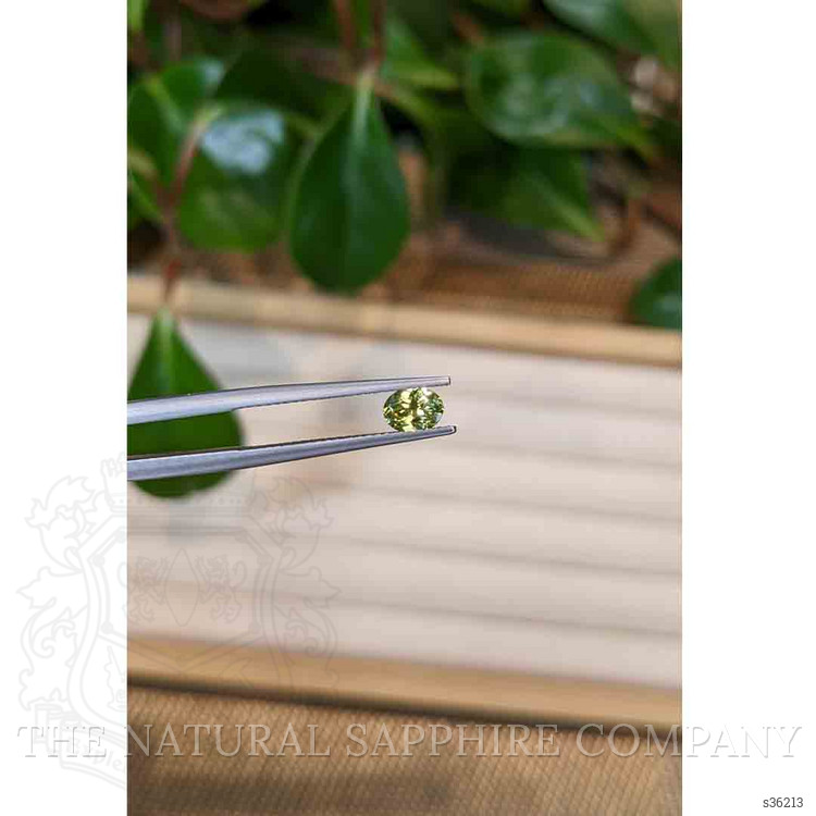 0.46 Ct. Yellowish Green Sapphire from Montana