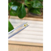 0.46 Ct. Yellow Sapphire from Montana Life Style
