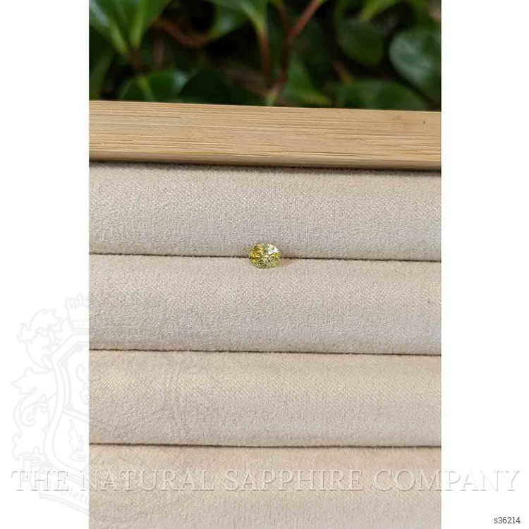 0.46 Ct. Yellow Sapphire from Montana