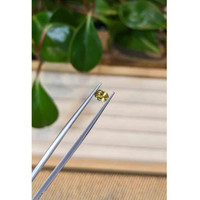 0.46 Ct. Greenish Yellow Sapphire from Montana Life Style
