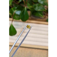 0.48 Ct. Yellow Sapphire from Montana Life Style