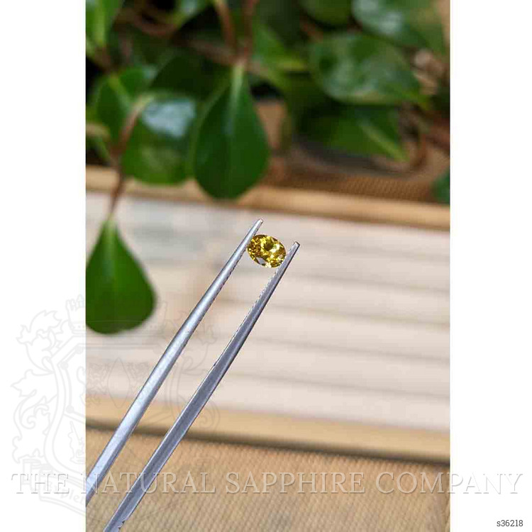 0.48 Ct. Yellow Sapphire from Montana