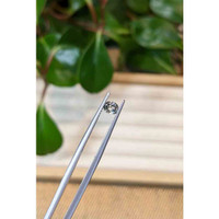 0.48 Ct. Multi Color Sapphire from Montana Life Style