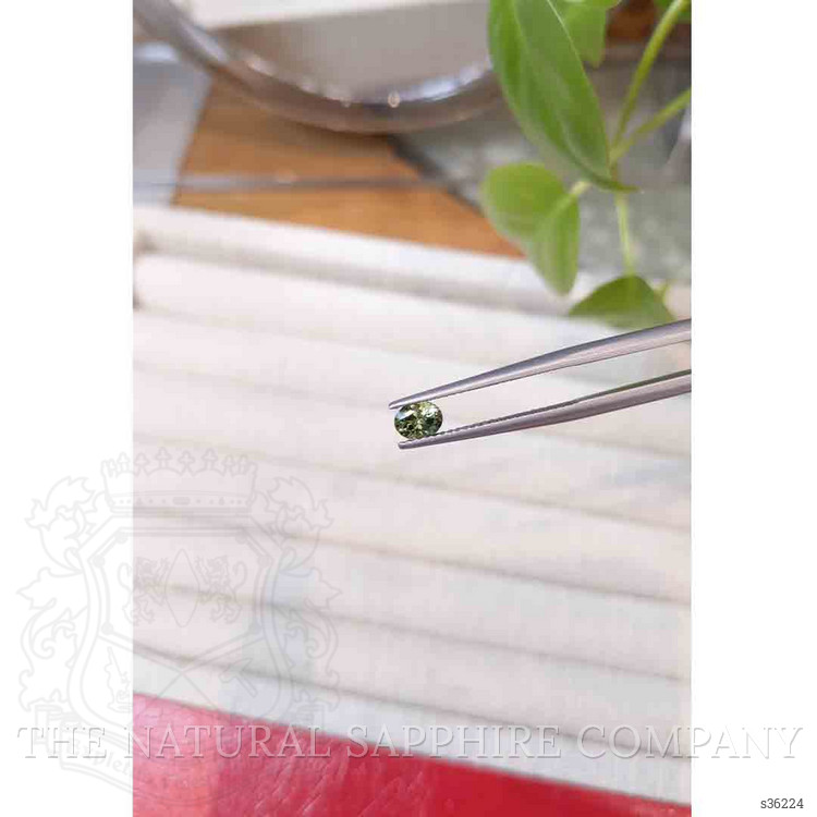 0.50 Ct. Yellowish Green Sapphire from Montana