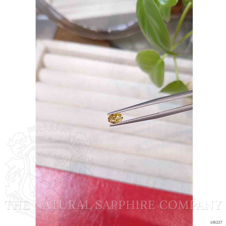 0.52 Ct. Yellow Sapphire from Montana