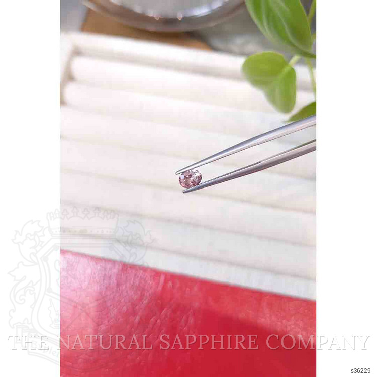 0.52 Ct. Pink Sapphire from Montana