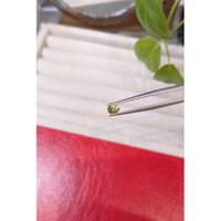 0.53 Ct. Greenish Yellow Sapphire from Montana Life Style