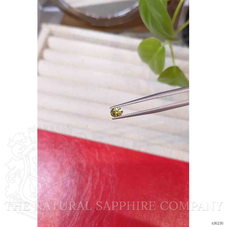 0.53 Ct. Greenish Yellow Sapphire from Montana