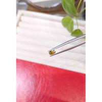 0.55 Ct. Greenish Yellow Sapphire from Montana Life Style