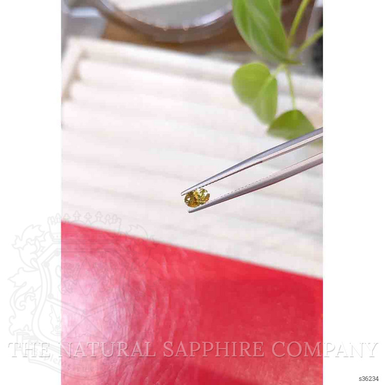 0.55 Ct. Greenish Yellow Sapphire from Montana