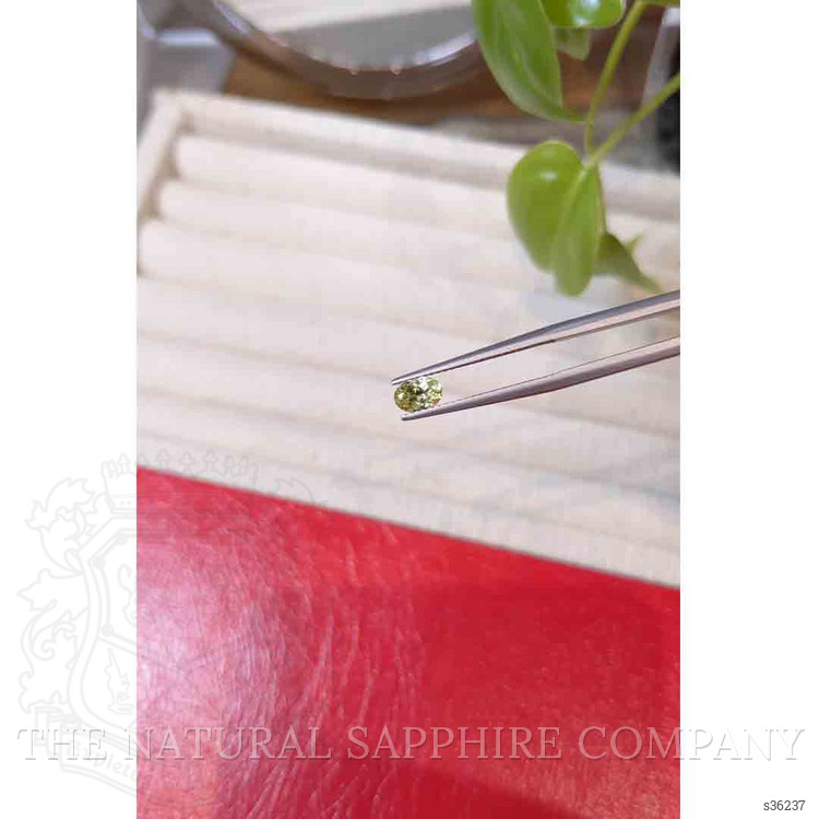 0.56 Ct. Greenish Yellow Sapphire from Montana