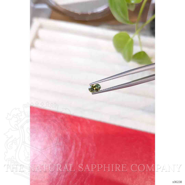 0.57 Ct. Yellowish Green Sapphire from Montana