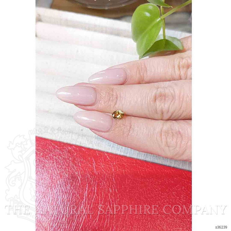 0.58 Ct. Greenish Yellow Sapphire from Montana