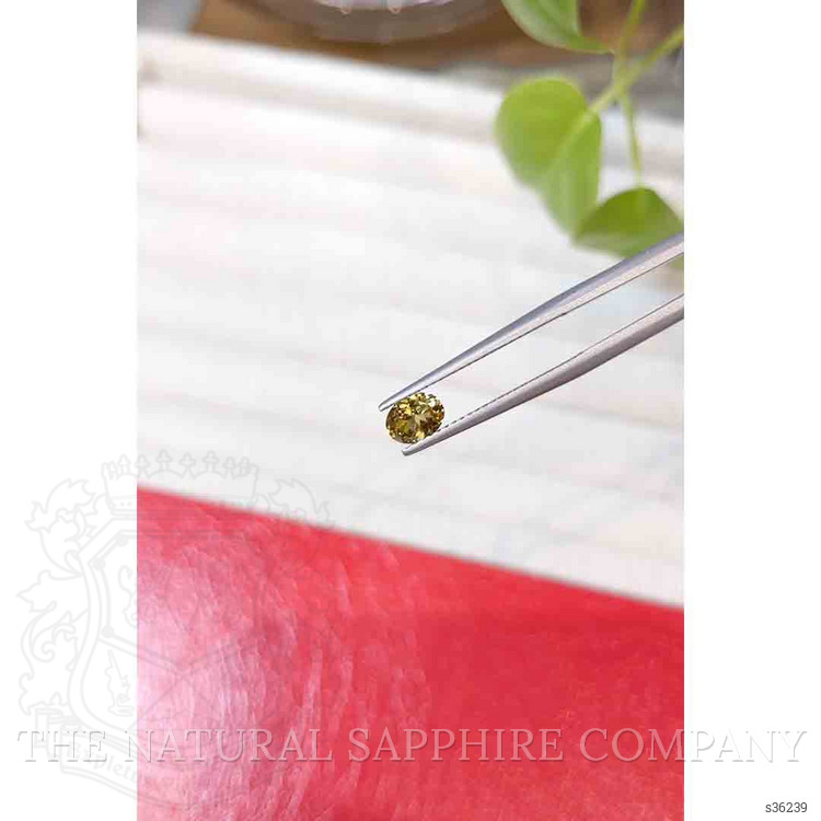 0.58 Ct. Greenish Yellow Sapphire from Montana