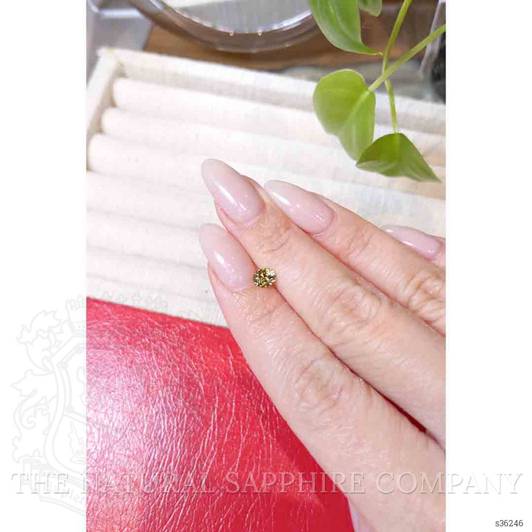 0.59 Ct. Greenish Yellow Sapphire from Montana