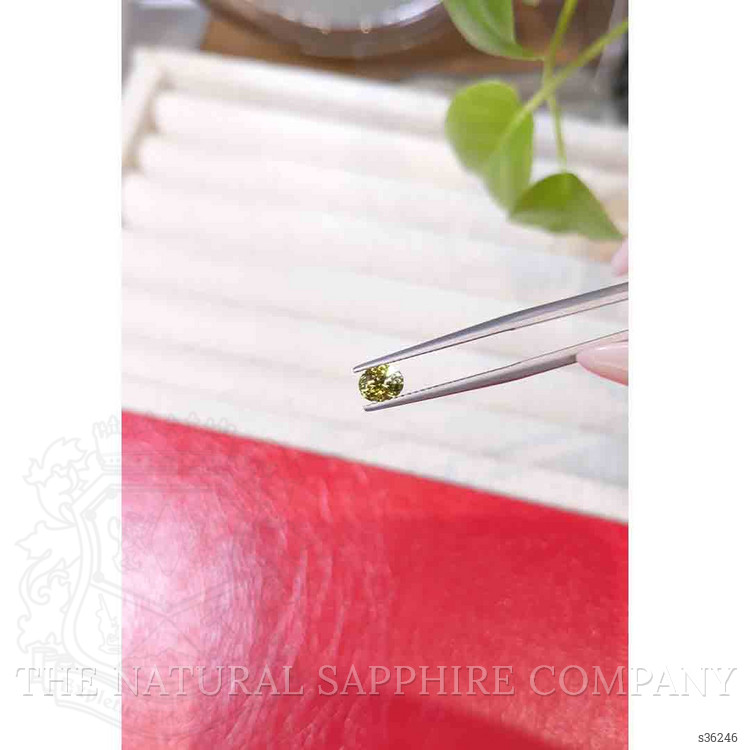 0.59 Ct. Greenish Yellow Sapphire from Montana