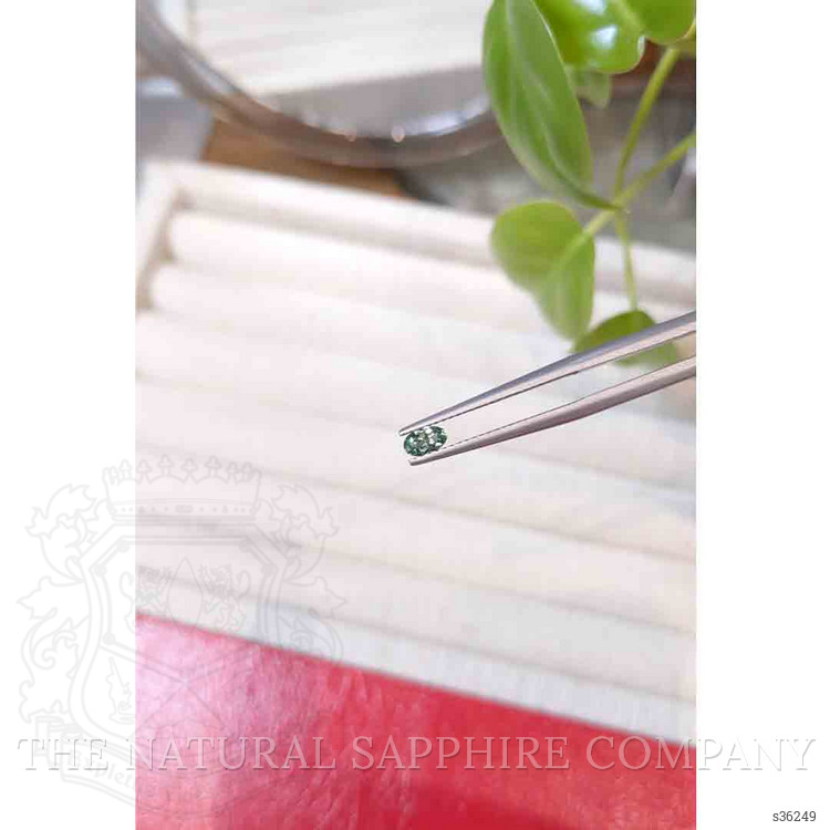 0.23 Ct. Yellowish Green Sapphire from Montana