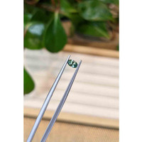 0.24 Ct. Bluish Green Sapphire from Montana Life Style