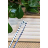 0.25 Ct. Bluish Green Sapphire from Montana Life Style