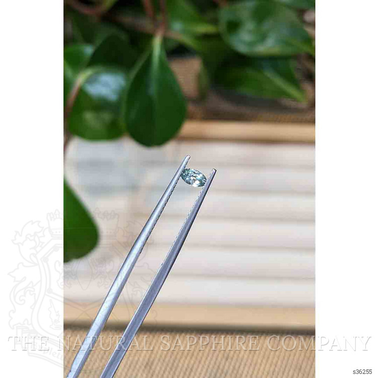 0.25 Ct. Bluish Green Sapphire from Montana