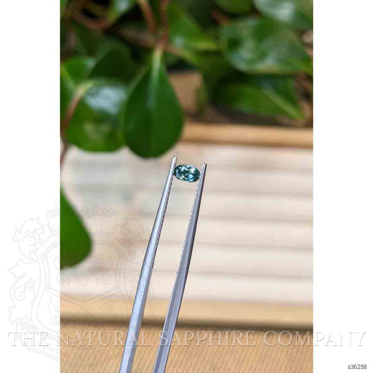 0.26 Ct. Bluish Green Sapphire from Montana