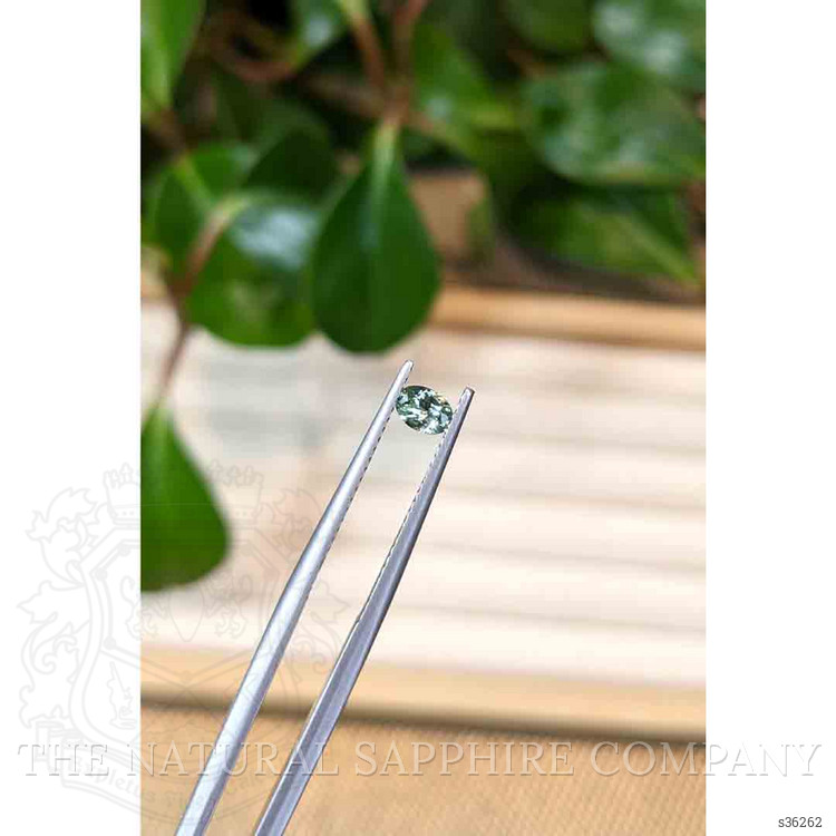 0.28 Ct. Bluish Green Sapphire from Montana