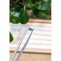 0.28 Ct. Bluish Green Sapphire from Montana Life Style