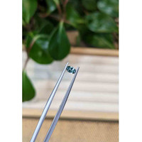 0.29 Ct. Bluish Green Sapphire from Montana Life Style