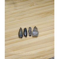 15.24 Ct. Multi Color Rough Sapphire Crystal from Ceylon (Sri Lanka) Life Style