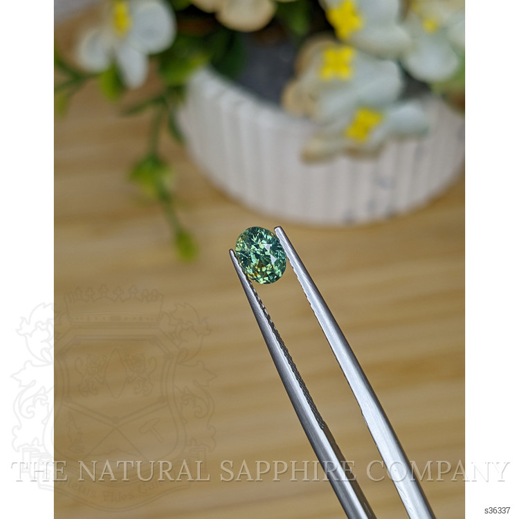 0.88 Ct. Yellowish Green Sapphire from Madagascar