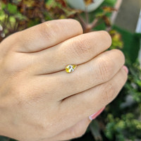 0.58 Ct. Bi Color Sapphire from Ceylon (Sri Lanka) Life Style