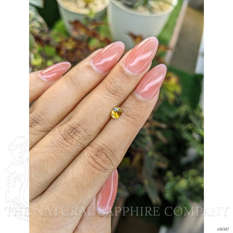 0.46 Ct. Bi Color Sapphire from Ceylon (Sri Lanka)