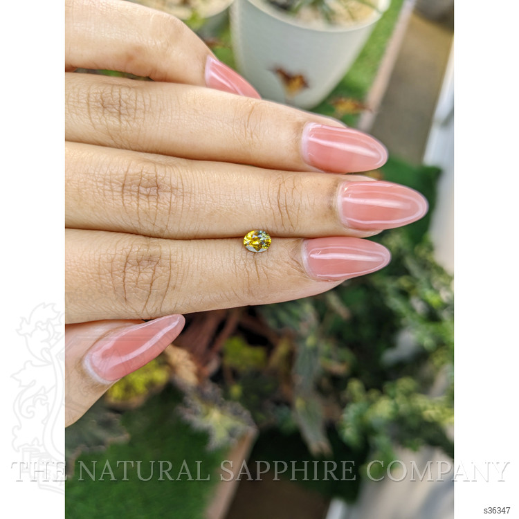 0.46 Ct. Bi Color Sapphire from Ceylon (Sri Lanka)