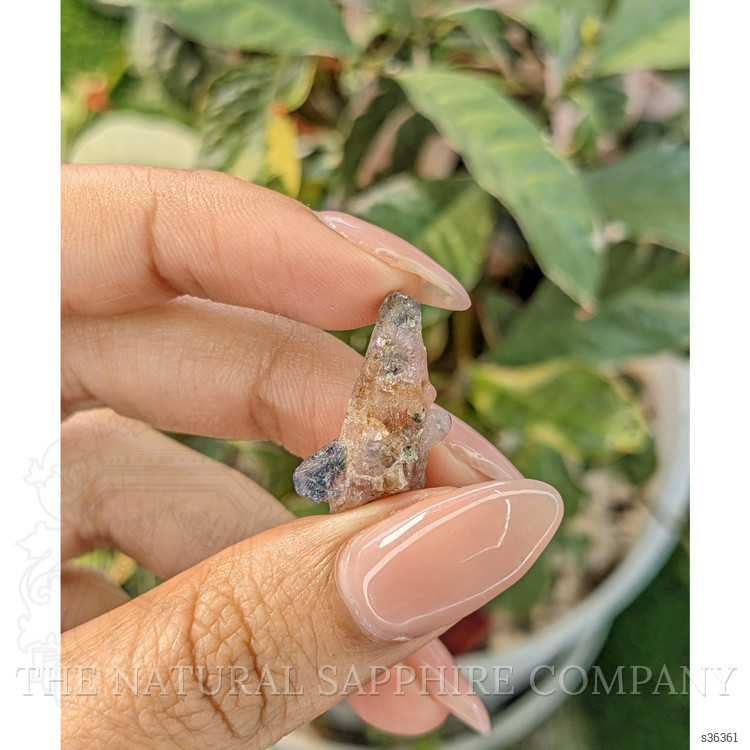 14.10 Ct. Bi Color Rough Sapphire Crystal from Ceylon (Sri Lanka)