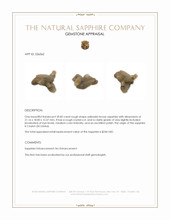 20.82 Ct. Yellowish Brown Rough Sapphire Crystal from Ceylon (Sri Lanka) Appraisal