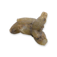 20.82 Ct. Yellowish Brown Rough Sapphire Crystal from Ceylon (Sri Lanka) Video