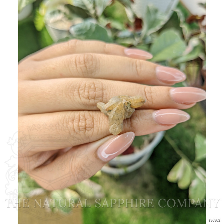 20.82 Ct. Yellowish Brown Rough Sapphire Crystal from Ceylon (Sri Lanka)