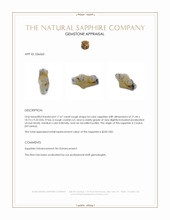 17.67 Ct. Bi Color Rough Sapphire Crystal from Ceylon (Sri Lanka) Appraisal