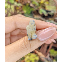 17.67 Ct. Bi Color Rough Sapphire Crystal from Ceylon (Sri Lanka) Life Style