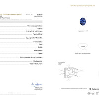 3.23 Ct. Blue Sapphire from Madagascar Pdf