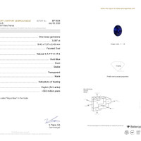 3.00 Ct. Blue Sapphire from Ceylon (Sri Lanka) Pdf