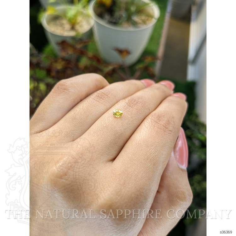 0.29 Ct. Yellow Sapphire from Ceylon (Sri Lanka)