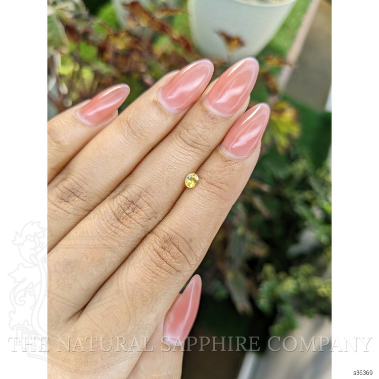 0.29 Ct. Yellow Sapphire from Ceylon (Sri Lanka)