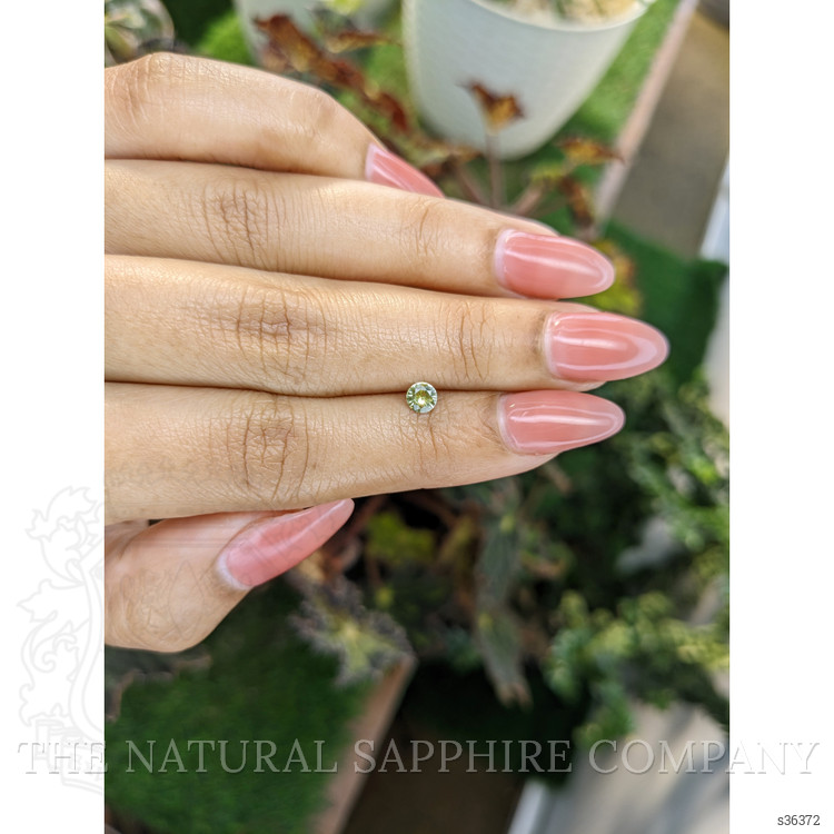 0.28 Ct. Greenish Yellow Sapphire from Ceylon (Sri Lanka)