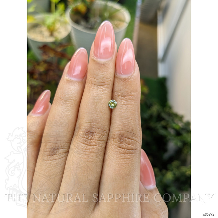 0.28 Ct. Greenish Yellow Sapphire from Ceylon (Sri Lanka)